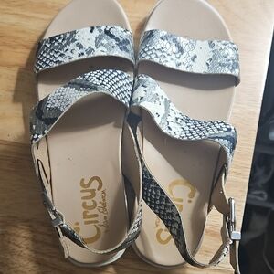 Circus by Sam Edelman Women's Black and Gray Sandals